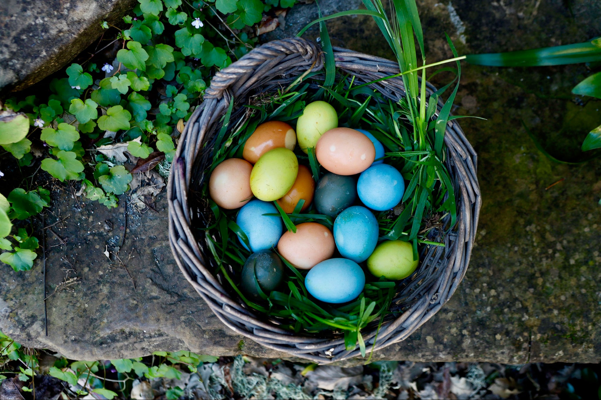 Coloring Eggs Naturally