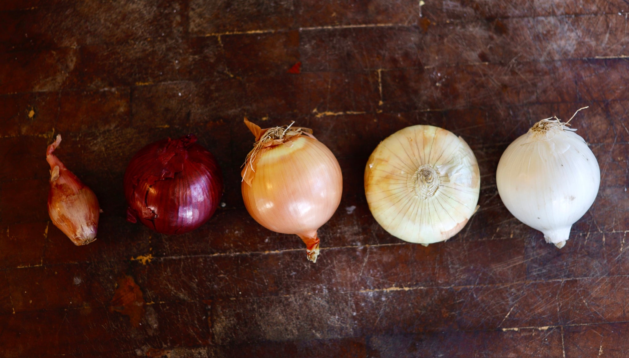 Different Onions, Different Tastes