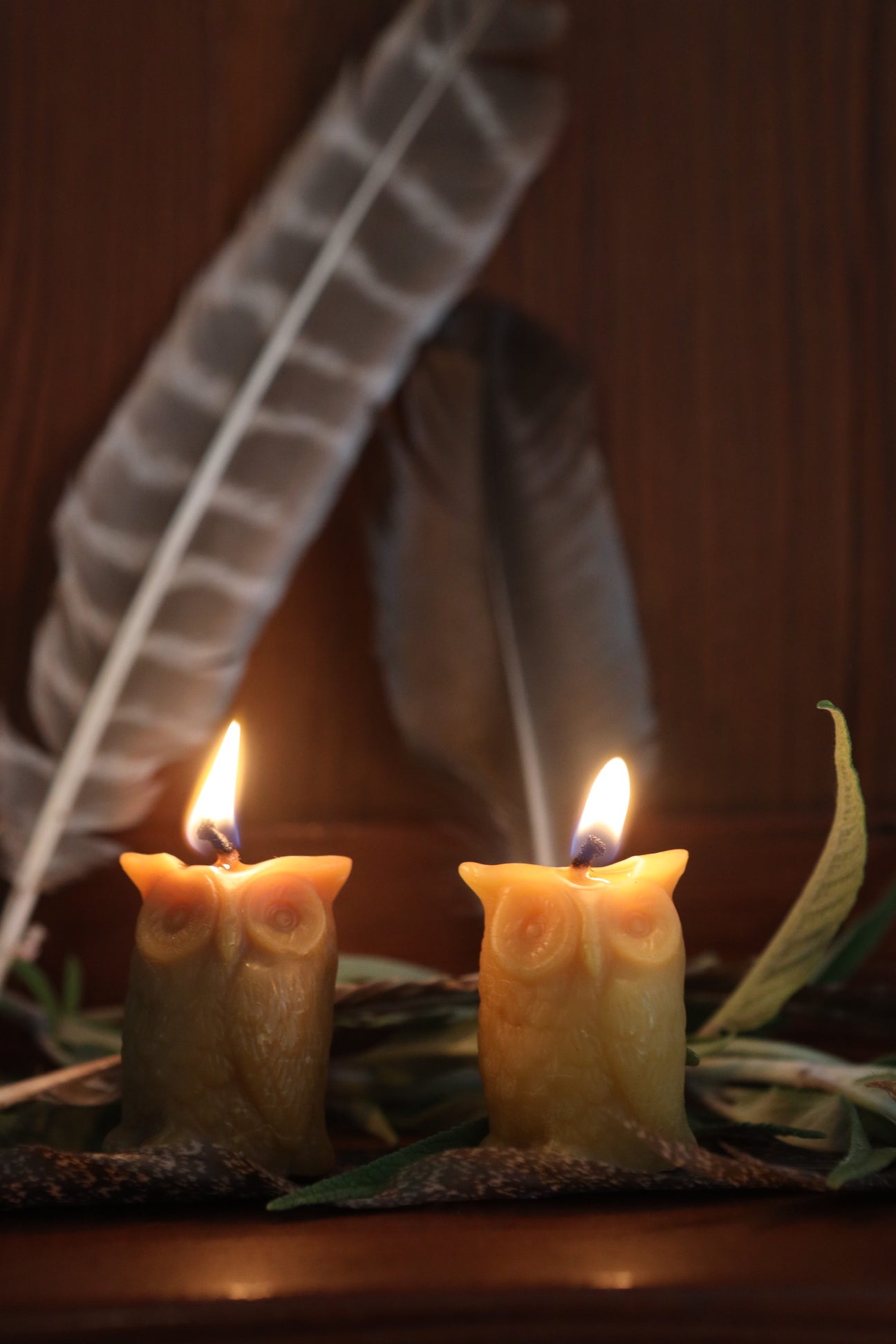 Beeswax Owl Candles (Set of 2) – The Ranch Table