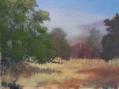 Foggy Morning